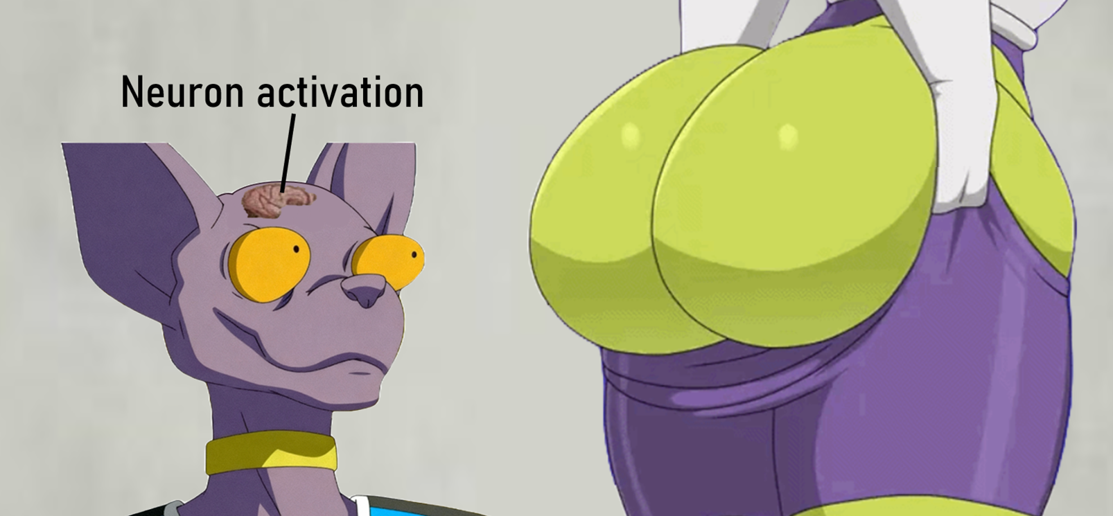 Rule34 – If it exists, there is porn of it / beerus, cheelai / 8681370