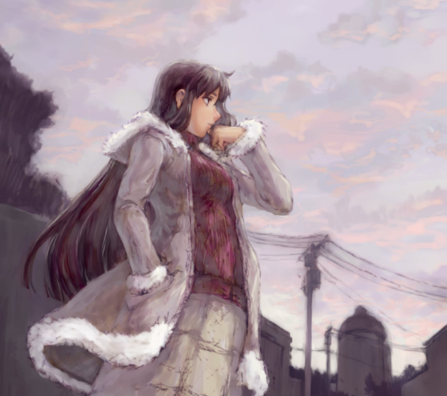 sasagawa (haikaiki), brown hair, coat, long hair, power lines, skirt, sky, solo, turtleneck, winter clothes