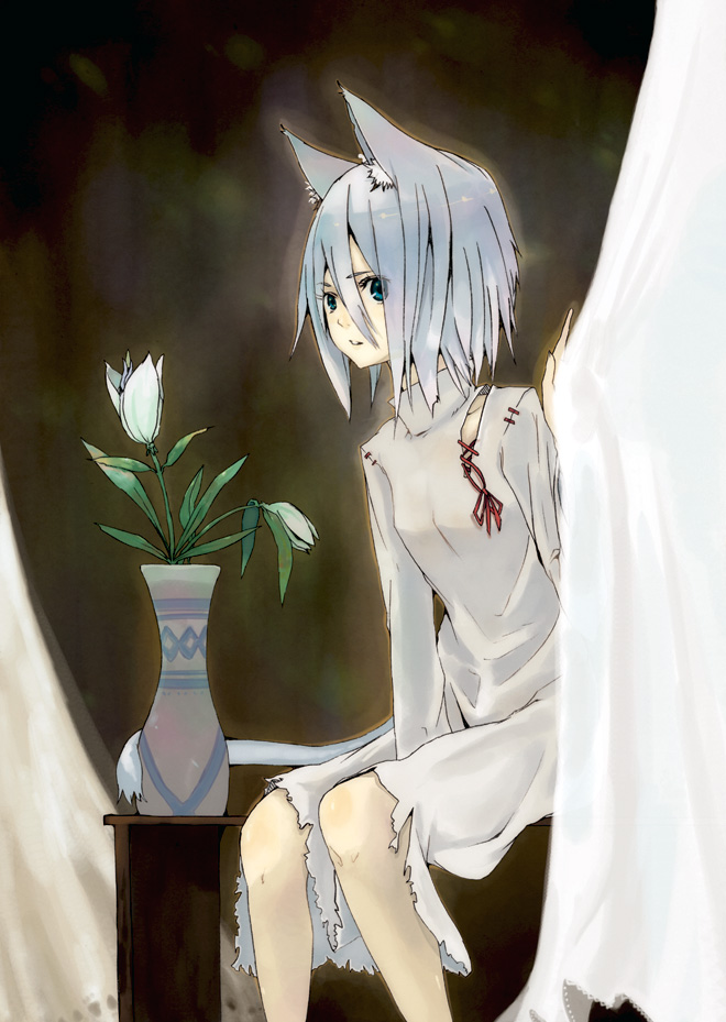 hrd, silver hair, animal ears, flat chest, flower, short hair, solo, tail