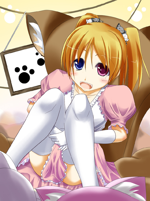 masa (miyabitei), miyabitei, original, 1girl, blonde hair, female focus, heterochromia, hugging own legs, paw print, solo, thighhighs, twintails