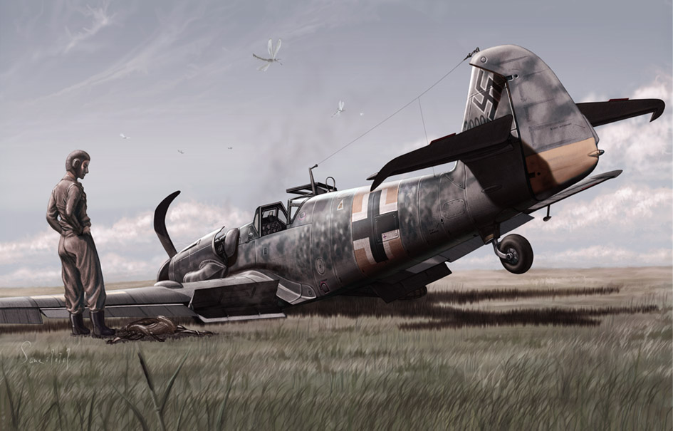 same (112744), same (carcharodon), pilot suit, 1boy, aircraft, airplane, bf 109, bug, crash, dragonfly, field, germany, insect, luftwaffe, military vehicle, pilot, propeller fighter, realistic, soldier, swastika, vehicle focus, war, wehrmacht, world war ii, wreckage