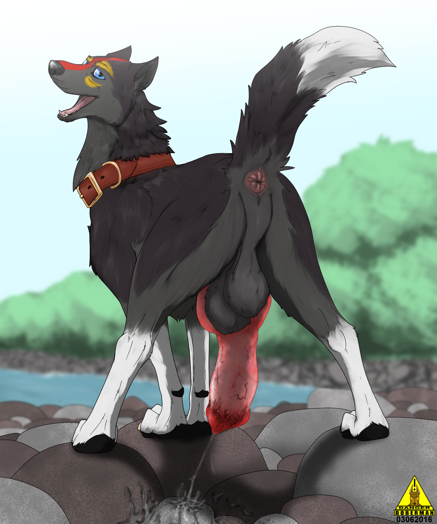 Rule34 – If it exists, there is porn of it / dangerdoberman / 227290