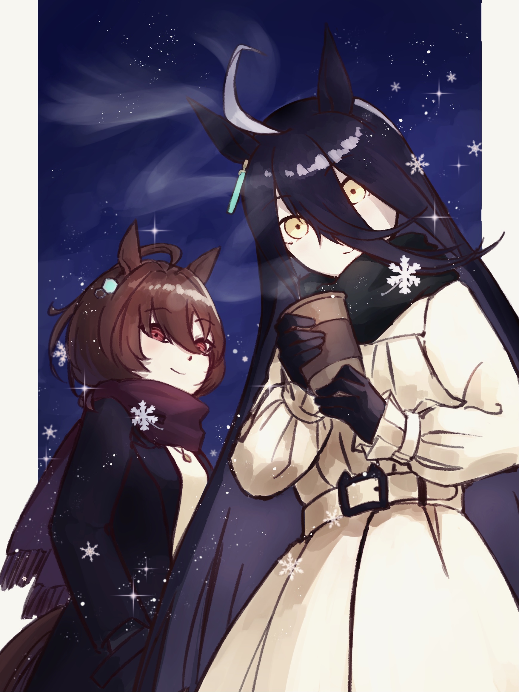 agnes tachyon (umamusume), manhattan cafe (umamusume), umamusume, commentary, highres, 253 bcl 24282, 2girls, ahoge, animal ears, black coat, black gloves, brown hair, chemical structure, coat, cup, disposable cup, ear ornament, ear tag, earrings, gloves, hair between eyes, hand in pocket, hands up, holding, holding cup, horse ears, horse girl, horse tail, huge ahoge, jewelry, long hair, long hair between eyes, long sleeves, looking at viewer, multicolored hair, multiple girls, necklace, night, night sky, open clothes, open coat, red eyes, short hair, single earring, sky, snowflakes, star (sky), starry sky, steam, sweater, tail, very long hair, white coat, white hair, winter clothes, yellow eyes, yellow sweater