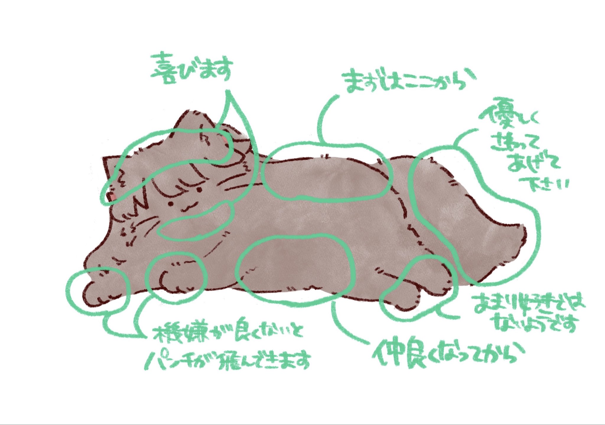 mashikaku (ma4kaku10fu), fujishima megumi, link! like! love live!, love live!, commentary request, highres, translation request, 1girl, :3, animal focus, animalization, brown cat, cat, closed mouth, looking at viewer, no humans, pointing out the details, simple background, solo, two side up, virtual youtuber, white background