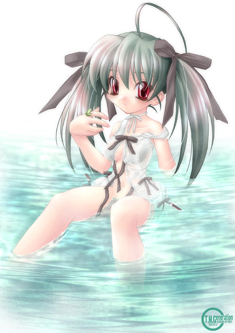 ishihara masumi, memeko, hyper brand, ahoge, blush, frog, green hair, long hair, no panties, red eyes, ribbon, see-through clothes, solo, transparent, twintails, water