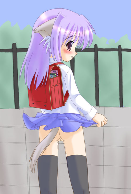 tagme, animal ears, loli, tail