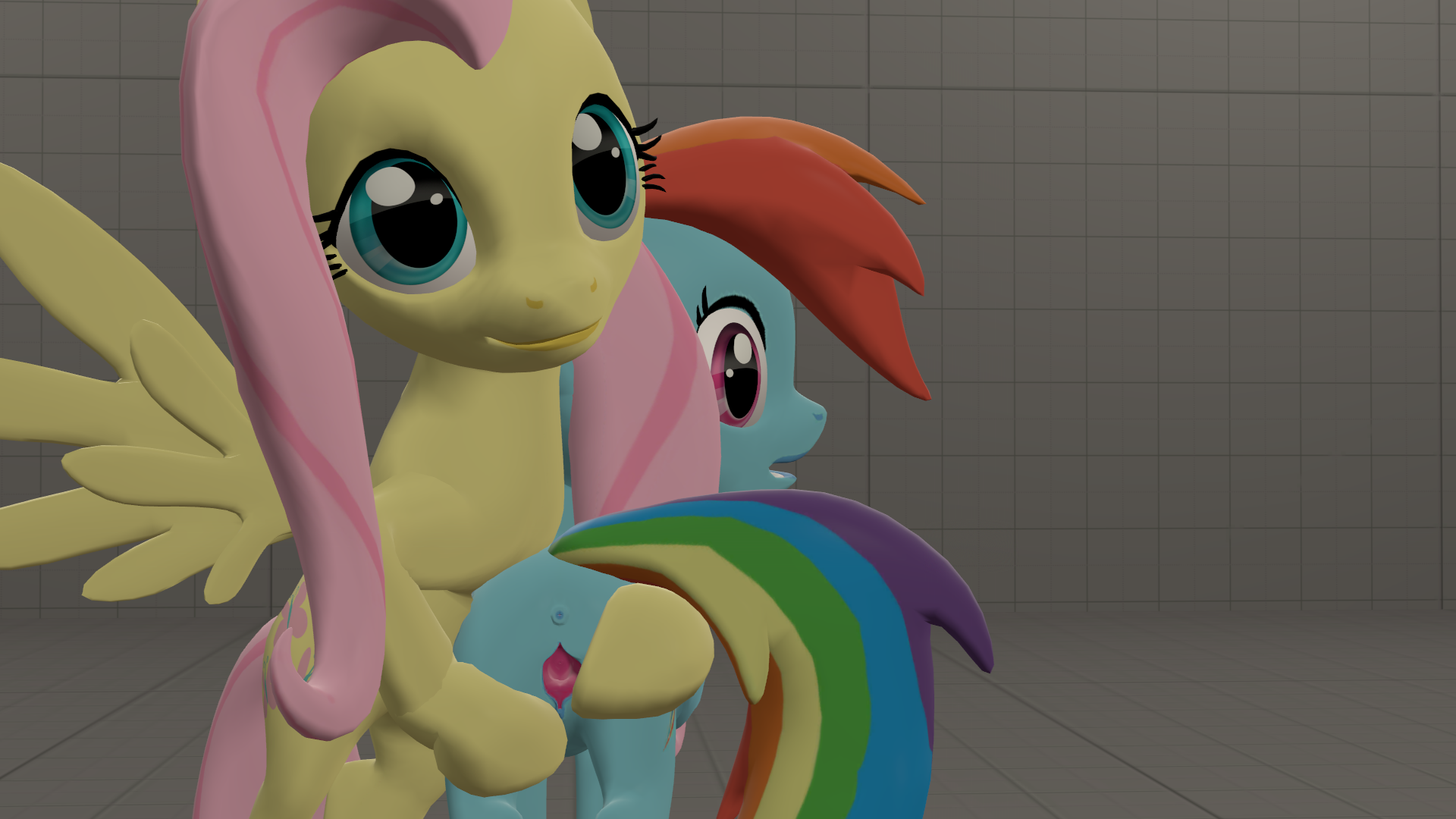 Rule34 – If it exists, there is porn of it / mr tektite, fluttershy (mlp), rainbow dash (mlp) / 228194