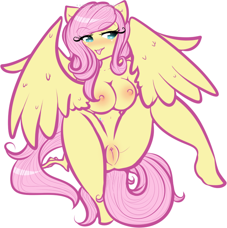 Rule34 – If it exists, there is porn of it / tehbuttercookie, fluttershy (mlp) / 228215