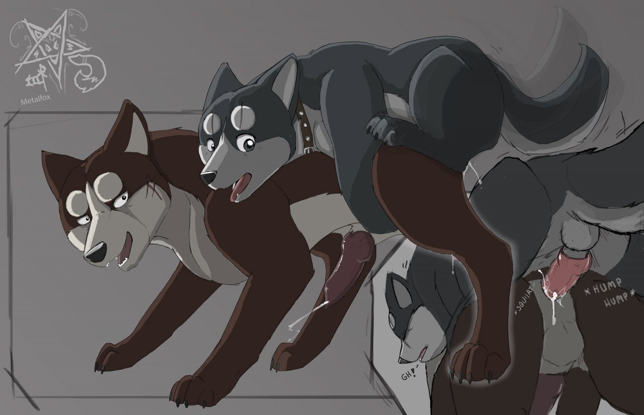 Rule34 – If it exists, there is porn of it / metalfox, riki, gin / 228556