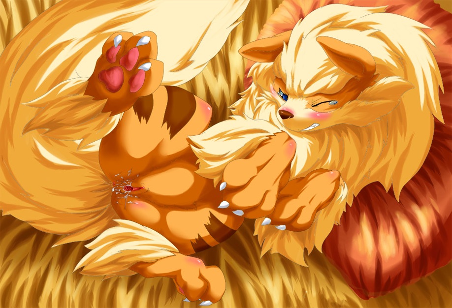 Rule34 – If it exists, there is porn of it / tamanosuke, arcanine / 228586