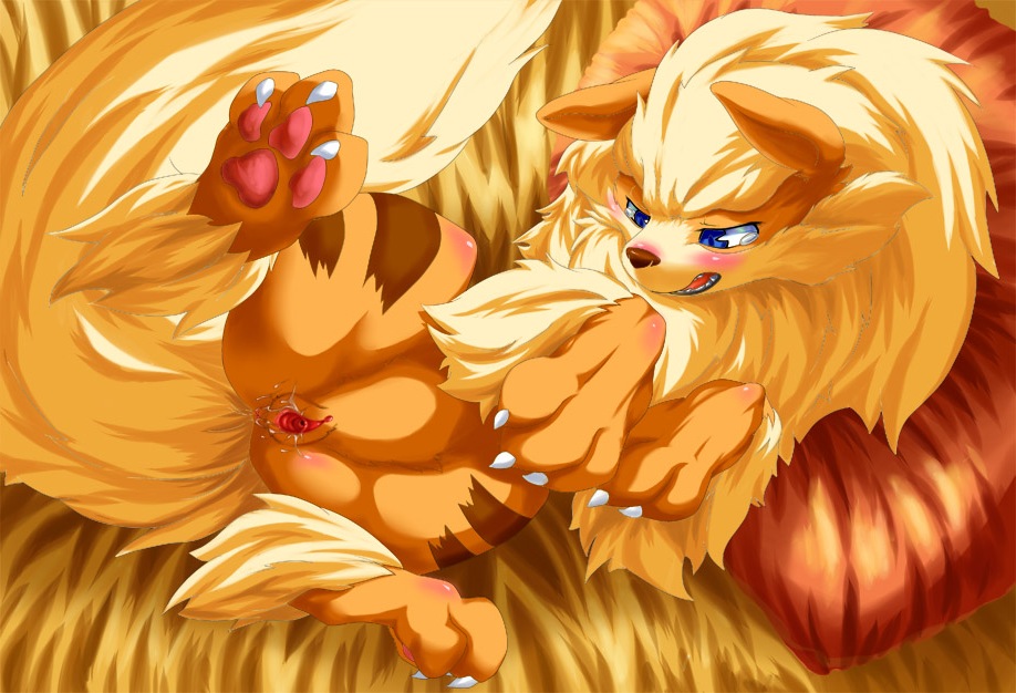 Rule34 – If it exists, there is porn of it / tamanosuke, arcanine / 228591