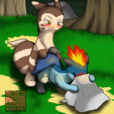 Rule34 – If it exists, there is porn of it / cyndan, dewott, furret, quilava / 228949
