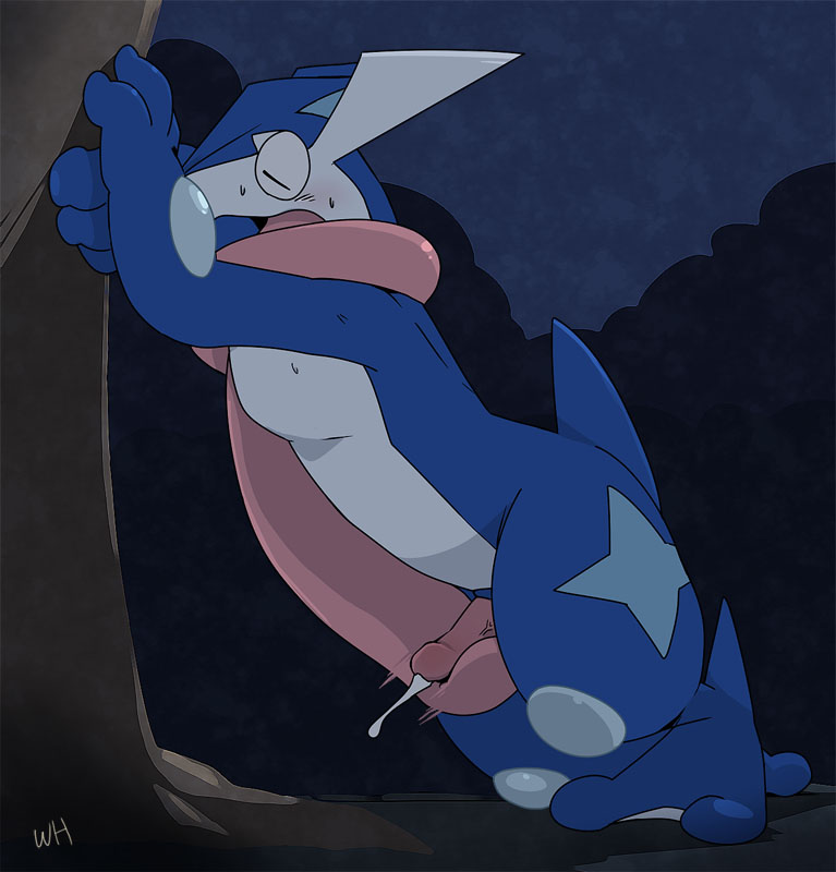 Rule34 – If it exists, there is porn of it / marshtompkd, greninja / 229021
