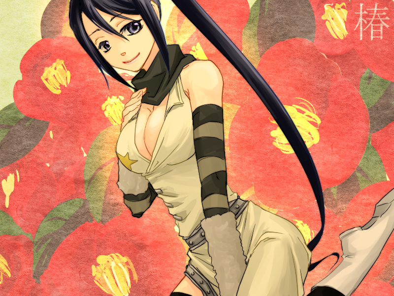 kiyocco, nakatsukasa tsubaki, soul eater, 00s, 1girl, breasts, cleavage, detached sleeves, female focus, ponytail, solo
