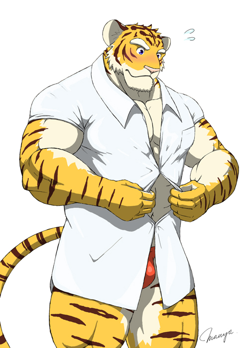 tagme, furry, furry male, male focus, muscular, shirt, tiger, undressing