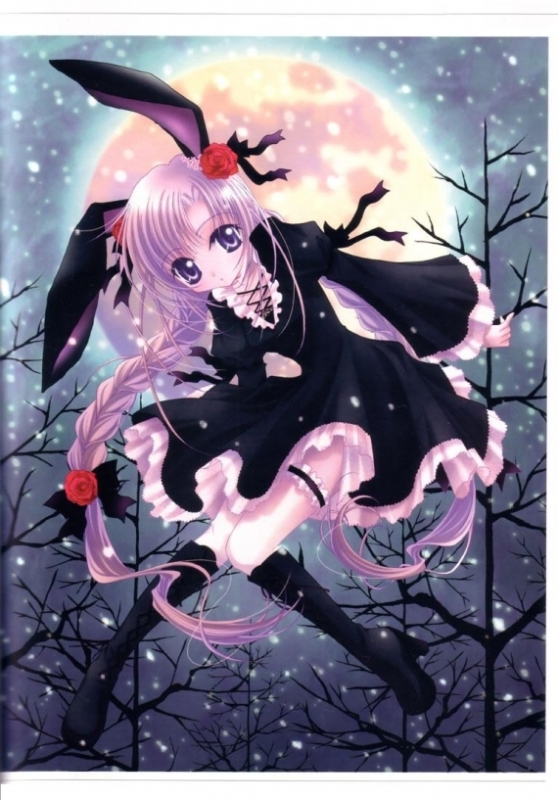 animal ears, black dress, braid, dress, flower, long hair, moon, purple hair, rabbit ears, rose, snow