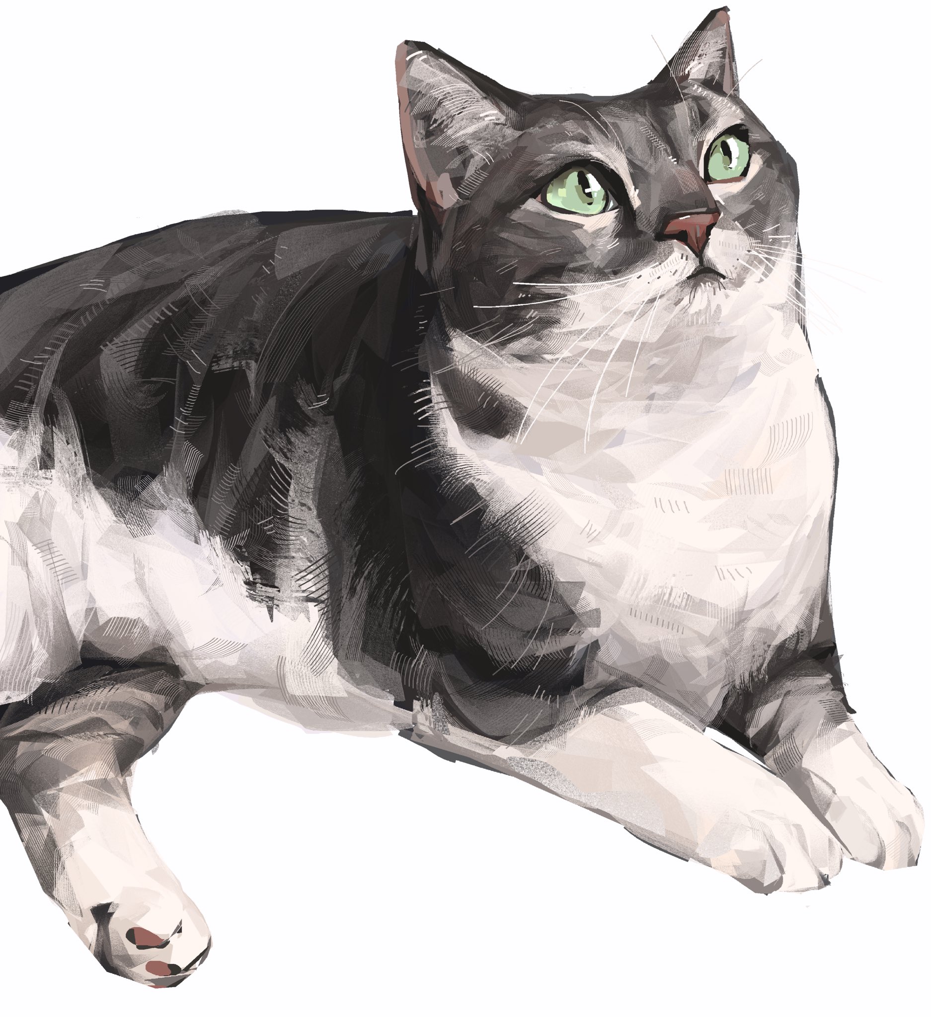 junbuug, original, commentary, commission, english commentary, highres, animal, animal focus, cat, green eyes, grey cat, lying, no humans, realistic, simple background, solo, white background