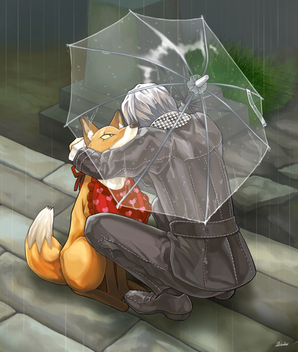 4ro, kitsune (persona 4), narukami yu, atlus, persona, persona 4, bad id, bad pixiv id, 1boy, animal, animal ears, animal hug, bib, black shoes, black socks, fox, hug, male focus, outdoors, plant, rain, scar, scar across eye, scar on face, shoes, socks, solo, tail, umbrella