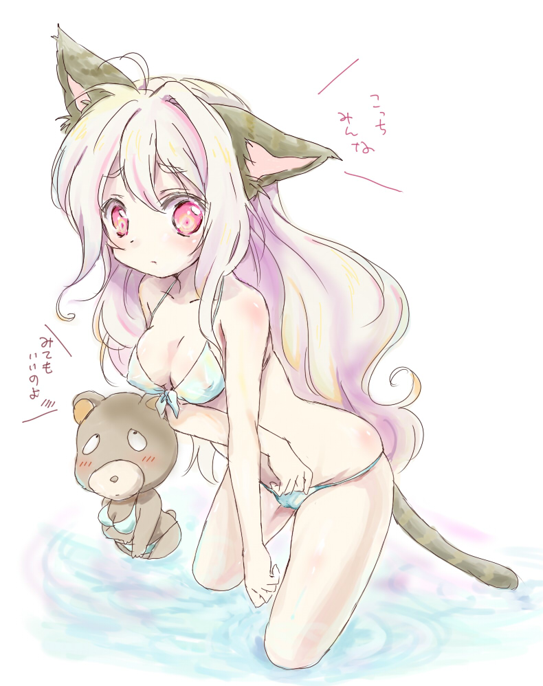 kona, kona (canaria), original, bad id, bad pixiv id, 1girl, ahoge, animal ears, bear, bikini, blush, body blush, breasts, cat ears, cat tail, cleavage, female focus, long hair, pink eyes, purple hair, simple background, solo, swimsuit, tail, wading, water, white background