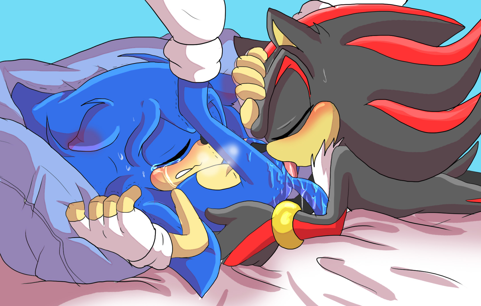 Rule34 – If it exists, there is porn of it / angelofhapiness, shadow the hedgehog, sonic the hedgehog / 229843