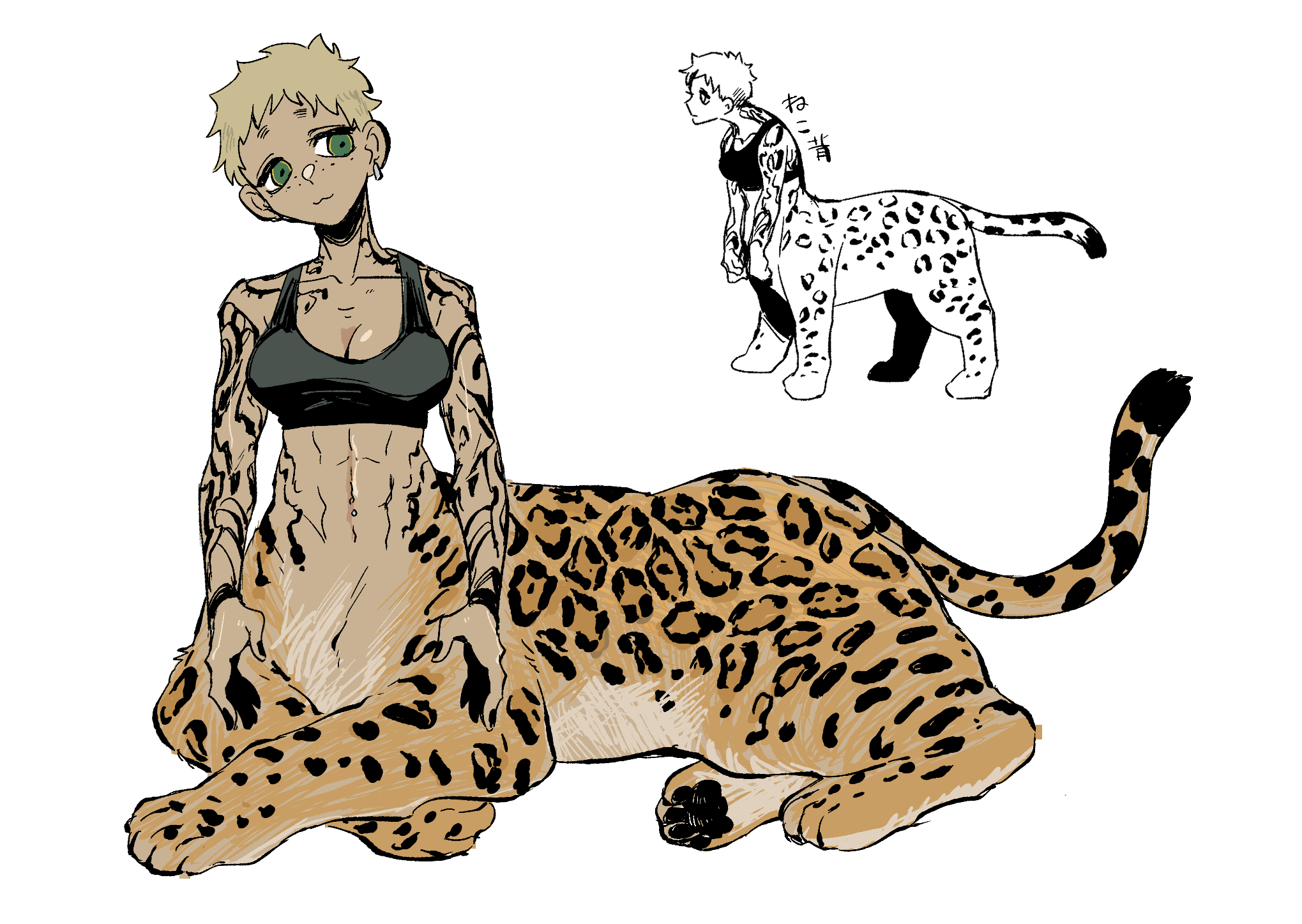 hikagami (june lotus), original, commentary request, highres, 1girl, abs, arm tattoo, blonde hair, centauroid, ear piercing, freckles, full body, green eyes, head tilt, jaguar girl, looking to the side, monster girl, multiple views, navel piercing, piercing, short hair, simple background, sitting, sports bra, tan, tattoo, taur, toned, toned female, very short hair, white background