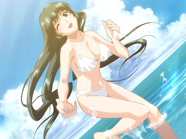 happoubi jin, tsurudo misui, separate blue, game cg, 1girl, ;d, barefoot, beach, bikini, blush, breasts, brown eyes, brown hair, cleavage, cloud, day, dutch angle, female focus, green eyes, green hair, large breasts, leg lift, light rays, long hair, looking at viewer, matching hair/eyes, mature female, navel, one eye closed, open mouth, outdoors, sky, smile, solo, splashing, standing, standing on one leg, sunbeam, sunlight, swimsuit, very long hair, wading, water, white bikini, wink