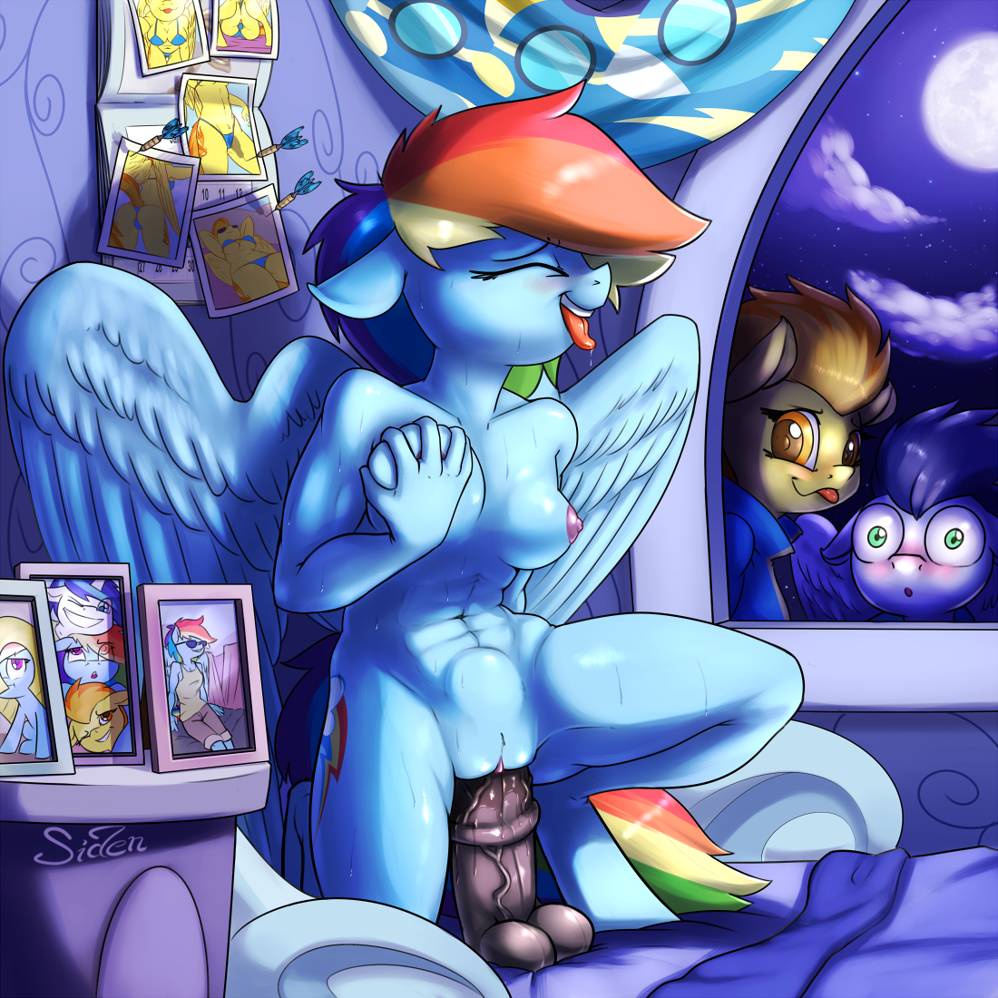 Rule34 – If it exists, there is porn of it / siden, rainbow dash (mlp), soarin (mlp), spitfire (mlp) / 229986