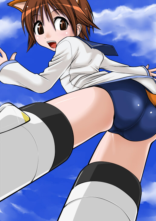 taku-tama, miyafuji yoshika, strike witches, world witches series, 00s, 1girl, animal ears, ass, bottomless, brown eyes, brown hair, female focus, solo