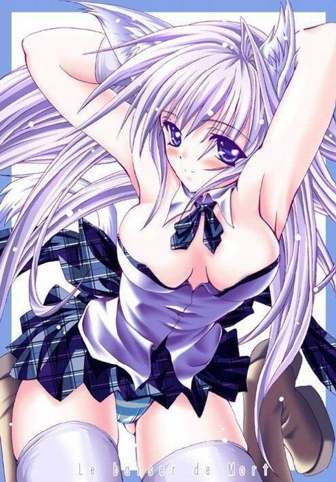 animal ears, baiser de mort, blush, breasts, cat ears, cat tail, long hair, purple eyes, purple hair, skirt, tail, thighhighs