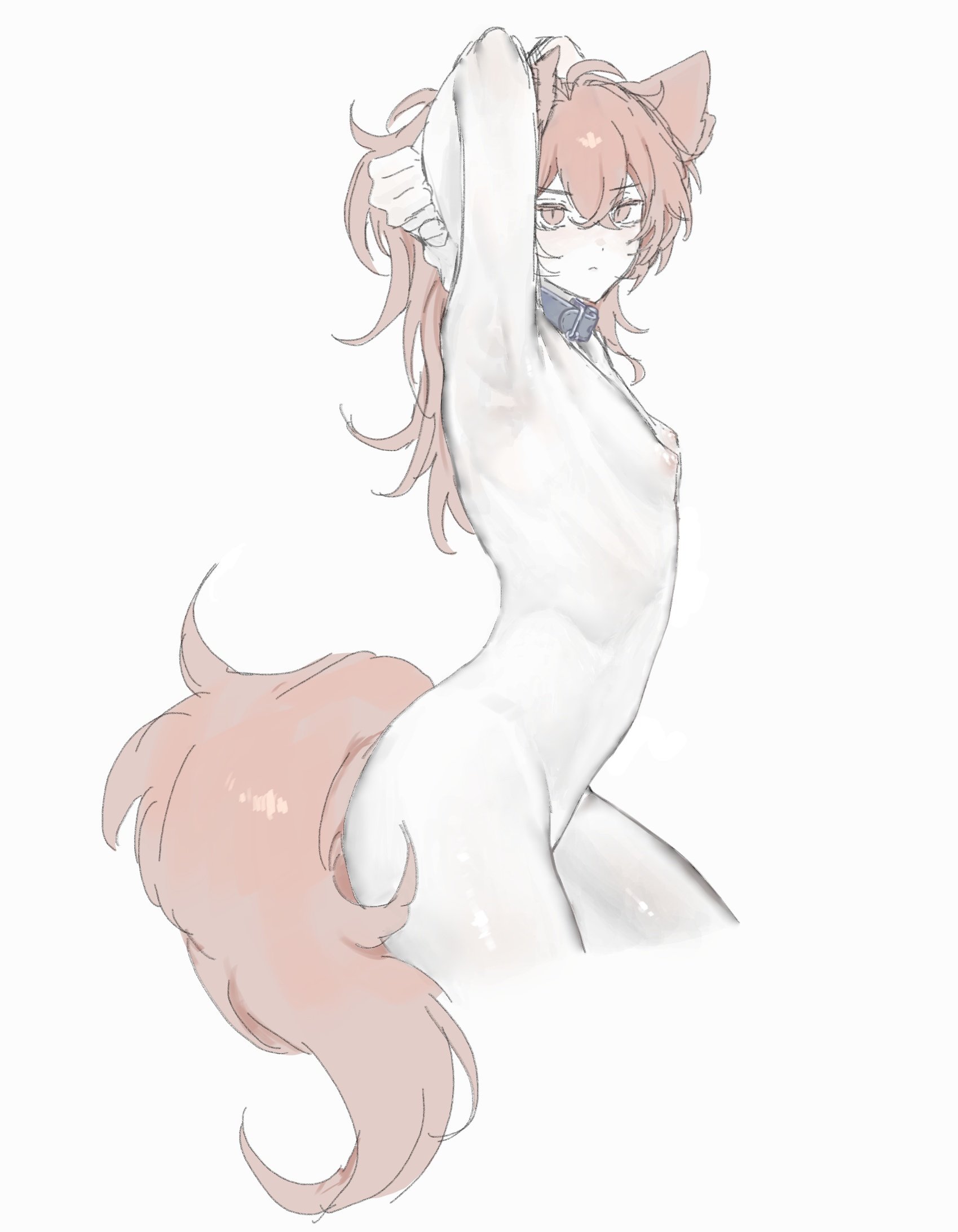zehuij, diluc (genshin impact), genshin impact, commentary request, highres, 1boy, animal ears, armpits, arms up, closed mouth, cropped legs, from side, gynecomastia, hair between eyes, long hair, looking at viewer, male focus, nipples, nude, ponytail, red eyes, red hair, simple background, skinny, solo, tail, thighs, white background