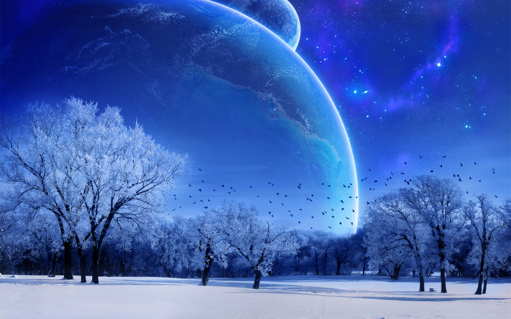 highres, bird, blue theme, earth (planet), moon, planet, scenery, sky, snow, star (sky), star (symbol), starry sky, tree