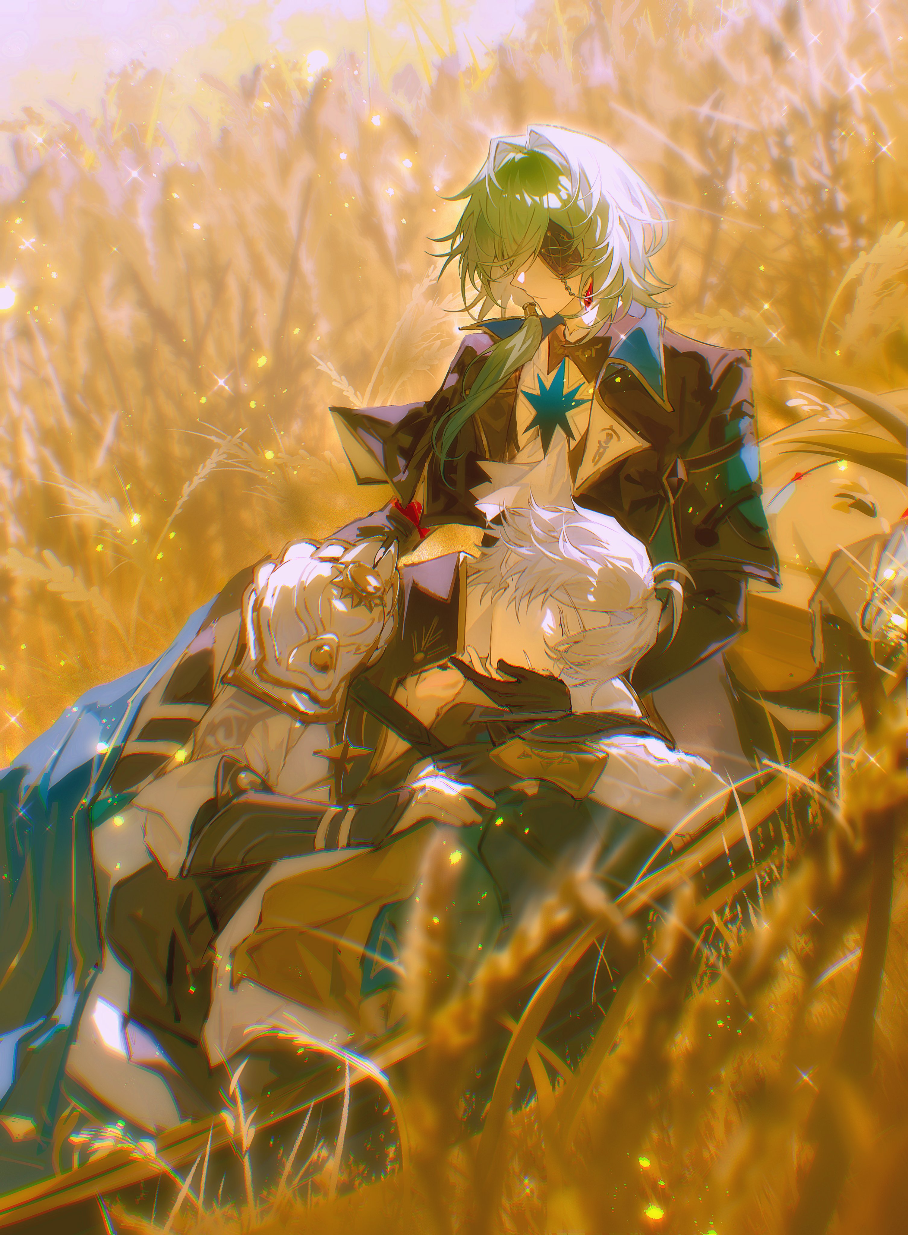 virtualbody, anaxa (honkai: star rail), phainon (honkai: star rail), honkai: star rail, honkai (series), absurdres, highres, 2boys, aqua hair, black gloves, black jacket, blue cape, cape, coat, earrings, eyepatch, gem, gloves, grass, grey hair, jacket, jewelry, lapels, male focus, medium hair, multiple boys, notched lapels, red gemstone, short hair, side ponytail, single earring, white coat