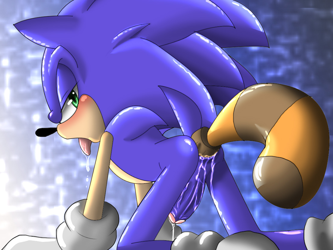 Rule34 – If it exists, there is porn of it / angelofhapiness, sonic the hedgehog / 231389
