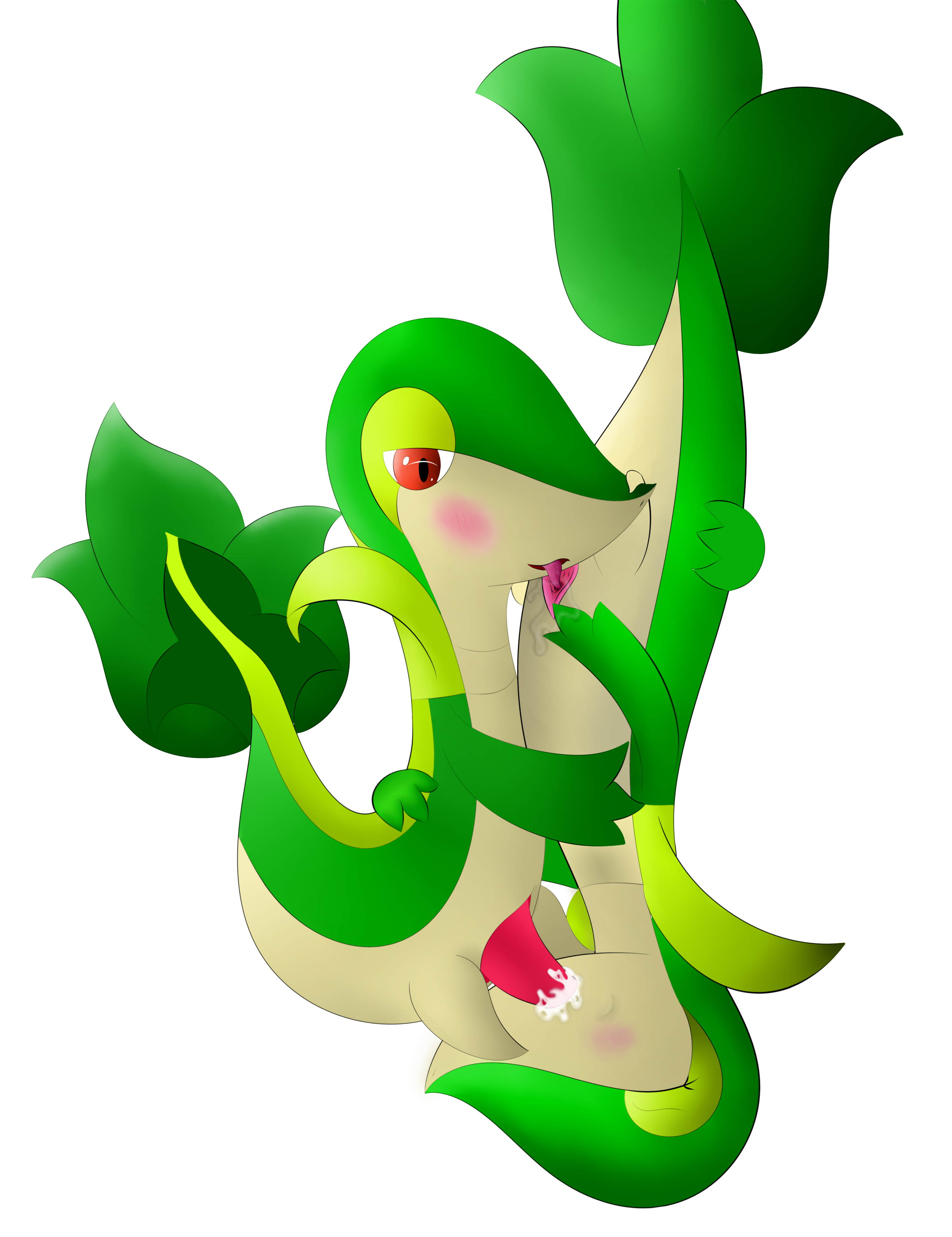 Rule34 – If it exists, there is porn of it / snivy / 231698