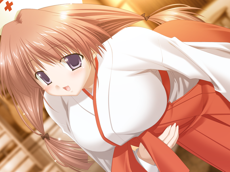 goma satoshi, oshiete miko sensei (series), game cg, 1girl, blurry, blurry background, blush, bow, breasts, broom, brown hair, depth of field, hair bow, hakama, hakama skirt, hat, japanese clothes, kimono, large breasts, leaning forward, long hair, long sleeves, miko, nurse cap, open mouth, oshiete miko sensei ni, purple eyes, red hakama, shiratori mina (oshiete miko sensei), skirt, solo, wide sleeves