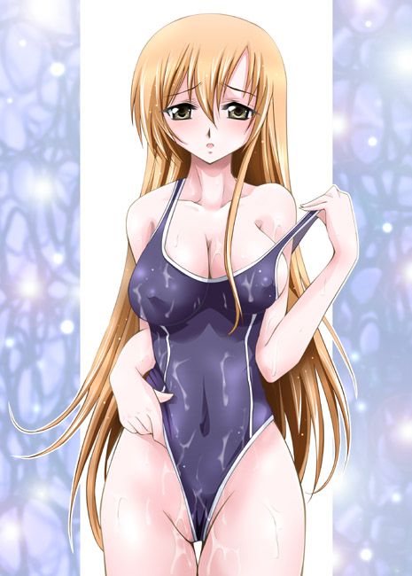 shirley fenette, code geass, artist request, 00s, blush, breasts, brown eyes, brown hair, cleavage, large breasts, long hair, one-piece swimsuit, swimsuit, undressing, very long hair, wet