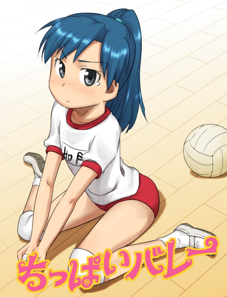 ttomm, kisaragi chihaya, idolmaster, idolmaster (classic), idolmaster 1, eyebrows, translation request, 00s, 1girl, alternate hairstyle, ball, blue hair, blush, buruma, female focus, grey eyes, gym uniform, knee pads, petite, ponytail, sitting, solo, tears, text focus, volleyball, volleyball (object), wariza