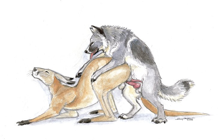 Rule34 – If it exists, there is porn of it / ebonytigress / 231988