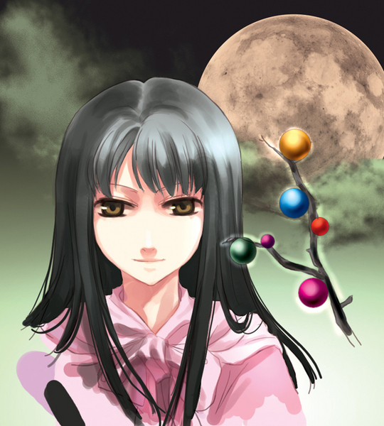 irua, houraisan kaguya, touhou, bad id, bad pixiv id, 1girl, black hair, branch, brown eyes, female focus, full moon, jeweled branch of hourai, light smile, long hair, moon, solo, upper body