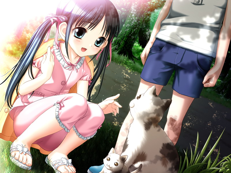 hiide, yotsunoha, game cg, 00s, 1boy, 1girl, :3, aged down, aqua eyes, blush, cat, coat, feet, hair ribbon, ponytail, ribbon, shade, shadow, shorts, sitting, slippers, smile, toes, twintails