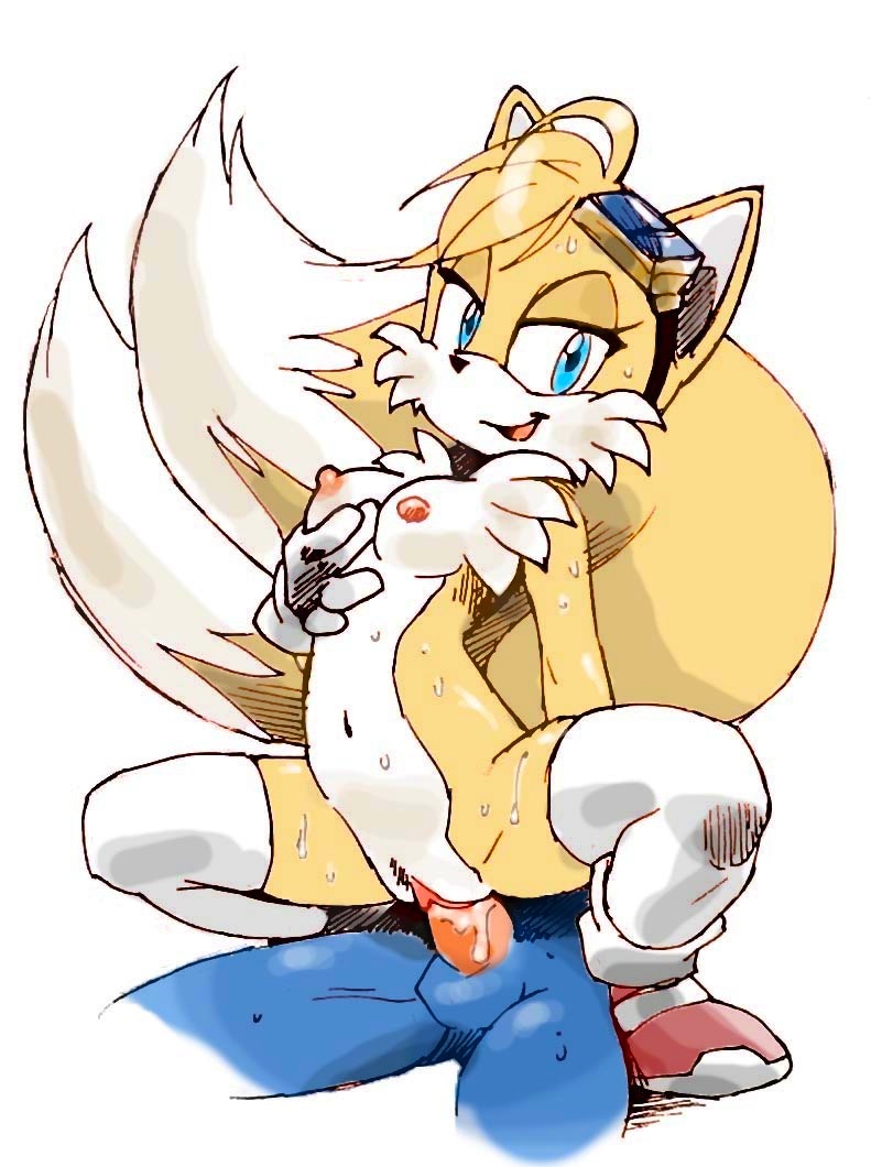 Rule34 – If it exists, there is porn of it / twistedterra, sonic the hedgehog, tails, tailsko / 232432