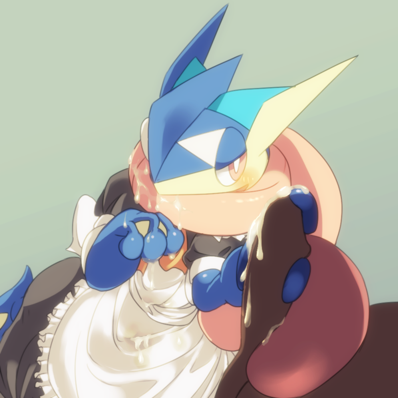 Rule34 – If it exists, there is porn of it / biozs, greninja / 233140