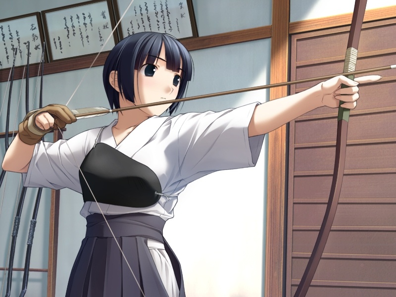 hashimoto takashi, range, ichinose mio, white breath, game cg, 1girl, aqua eyes, archery, archery dojo, arrow (projectile), black eyes, black hair, bow (weapon), drawing bow, female focus, gloves, hakama, hakama skirt, holding, holding bow (weapon), holding weapon, indoors, japanese clothes, kyuudou, marksman, muneate, partially fingerless gloves, partly fingerless gloves, short hair, single glove, skirt, solo, stretching, weapon, yugake