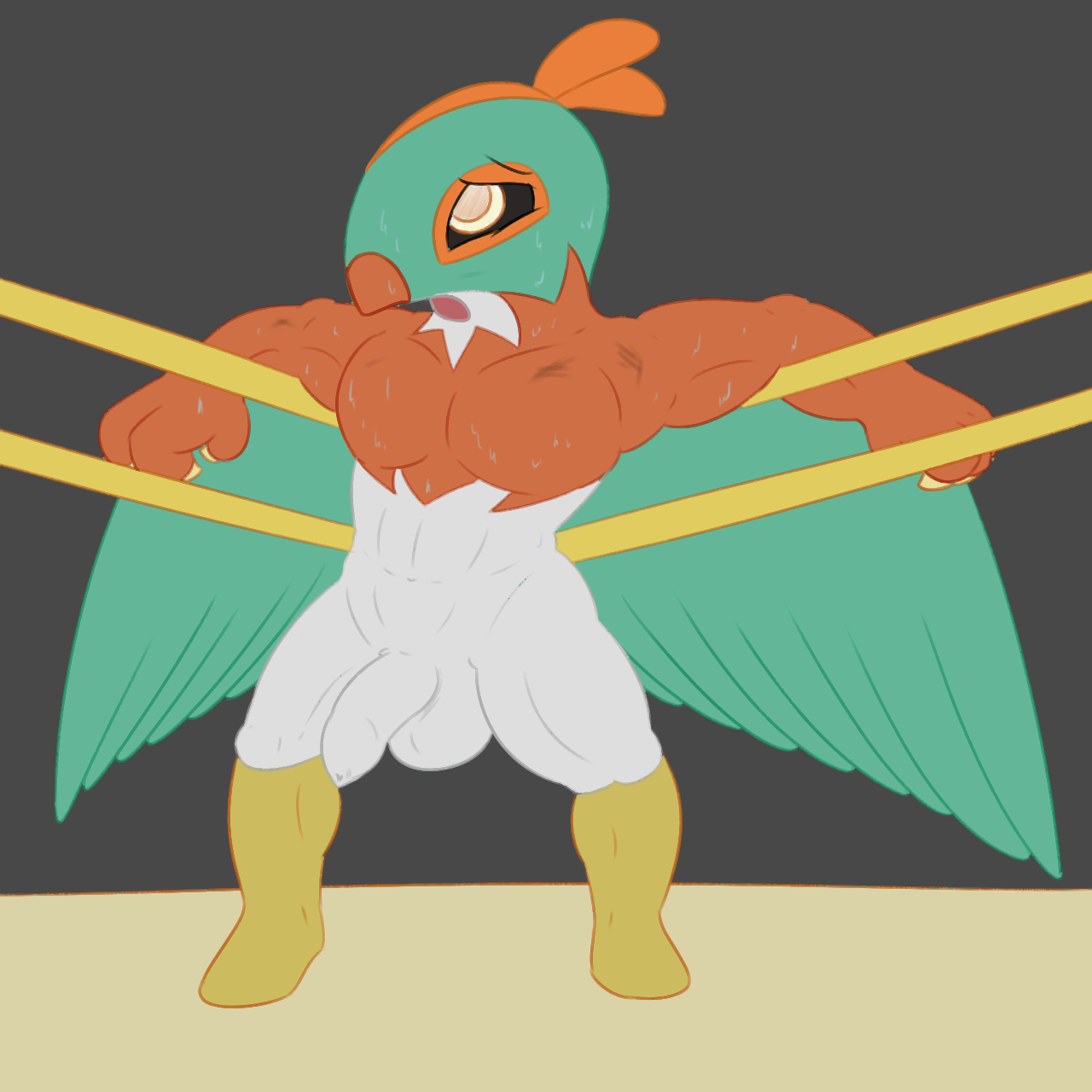 Rule34 – If it exists, there is porn of it / posexe, hawlucha / 233276