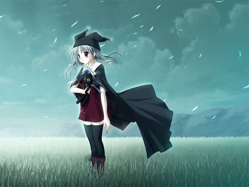 nanashi no shoujo, suika (visual novel), game cg, 00s, 1girl, animal ears, animal hat, bell, cat cap, cat ears, cloud, coat, dress, female focus, grass, hat, long hair, night, sky, solo, thighhighs, toy, white hair, zettai ryouiki