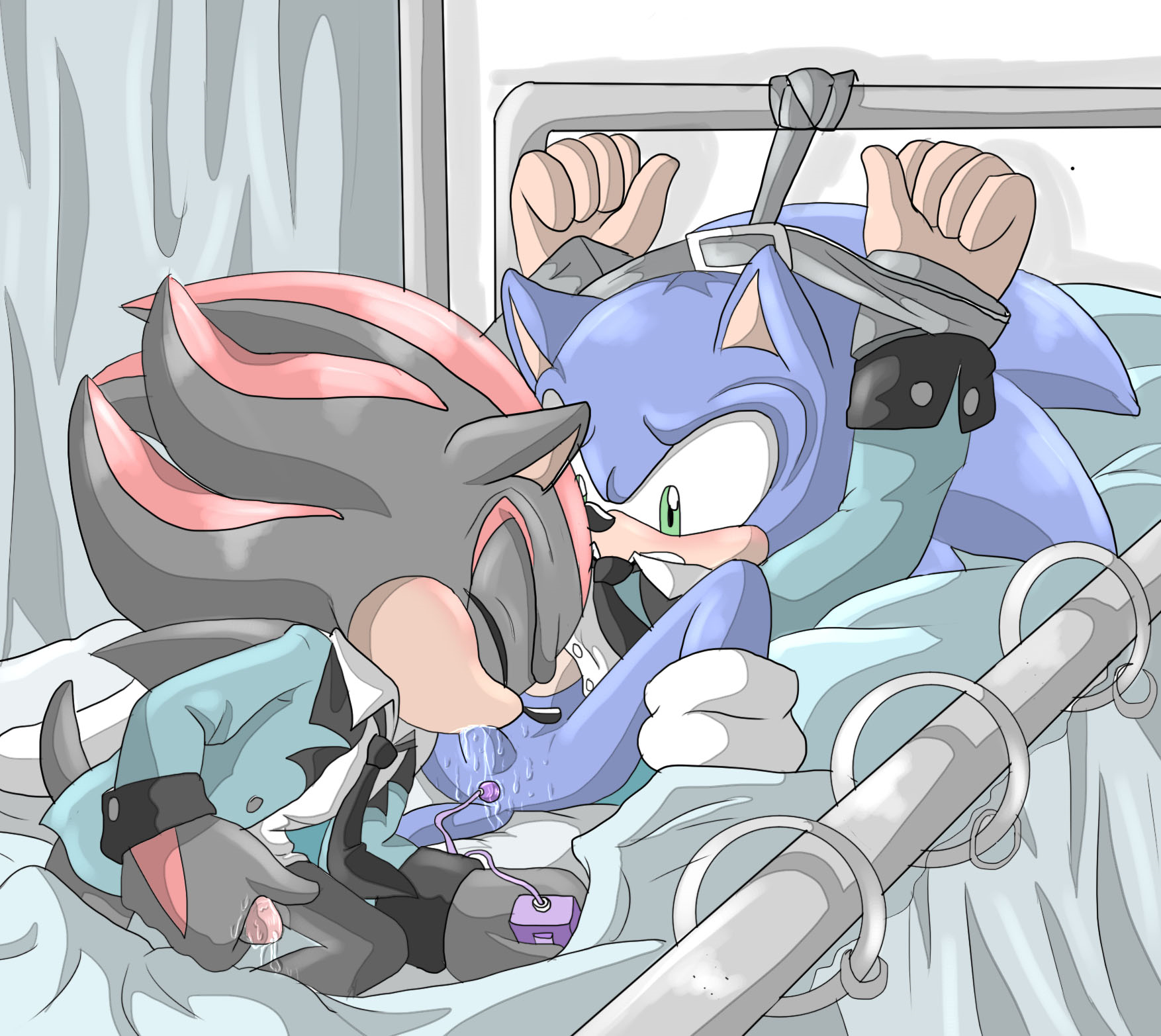 Rule34 – If it exists, there is porn of it / angelofhapiness, shadow the hedgehog, sonic the hedgehog / 233406