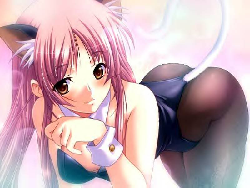 m&m, erika rouleburg, dungeon crusaderz, game cg, 1girl, animal ears, bent over, blush, bra, breasts, brown eyes, cat ears, cat tail, female focus, kittysuit, lingerie, long hair, nontraditional playboy bunny, pantyhose, pink hair, purple hair, solo, tail, underwear