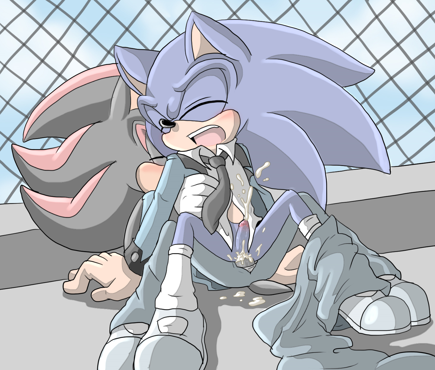Rule34 – If it exists, there is porn of it / angelofhapiness, shadow the hedgehog, sonic the hedgehog / 233623
