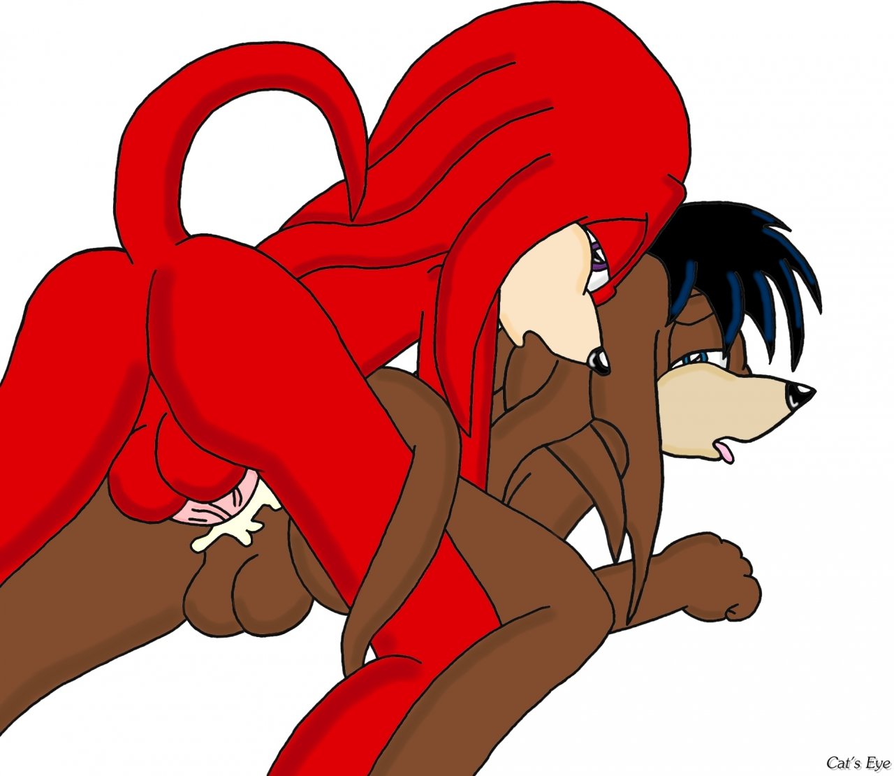 Rule34 – If it exists, there is porn of it / knuckles the echidna, tails / 233645
