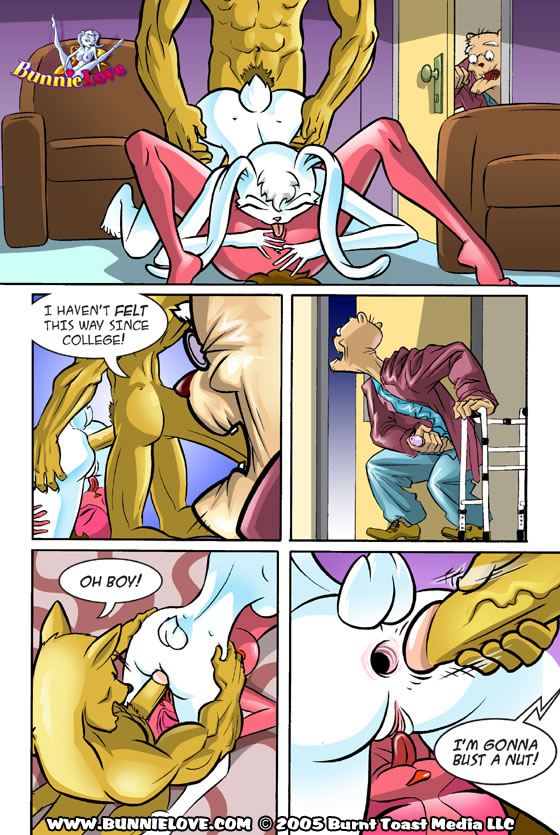 Rule34 – If it exists, there is porn of it / bunnie love, bunnie love (character) / 234449